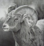 by TotalArt Soul
