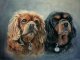 by Andrea Naylor