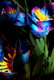 by Laura Grisham