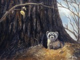 by Hedy Fischer