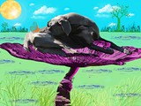 by lollypupgirl 