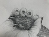 by Stacey Makar