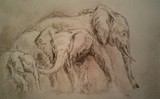 by Ida Foss