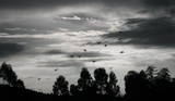 by Woo Davakee