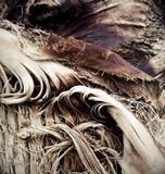 by Claudia Lorenz