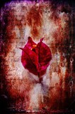 by Randi Grace Nilsberg