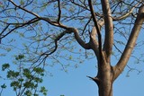 by Kamaljeet Chugh