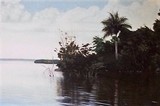 by Soul-of Cuba