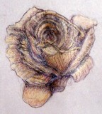 by Dana Koffenberger