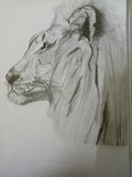 by Manasi Manasi 
