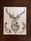 by Isobel Macdonald