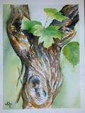 by Nona Tengrootenhuysen-Vardanyan