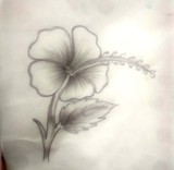 by sachin tiwari