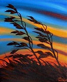 by Leslie Rohonczy