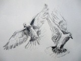 by Abhishek Rammohan