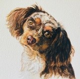 by DeLaine  Klar