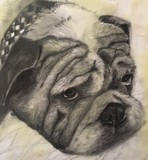 by Sheri Medford