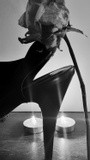 by Christopher Genheimer