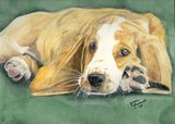 by Kellie C.
