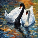 by Mihaela B