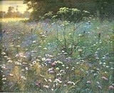 by Ning Zhou