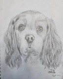 by Ariella Belau