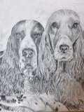 by Ariella Belau