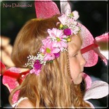 by Nira Dabush