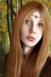 by Stephanie Shimerdla