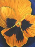 by Terry McClary