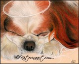 by Katerina Koukiotis