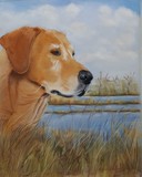 by Katherine Taylor-Green