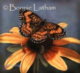 by Bonnie Latham