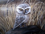 by Chante' Hall