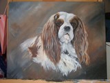 by Belinda Matthews