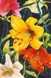by Radha Indu Rana