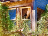 by susan  kinney