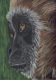 by Michelle Wrighton