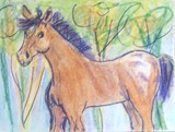by Pamela Miller