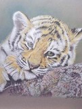 by Joanne Woolley