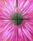 by diane  jennings