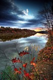 by Neil Shapiro