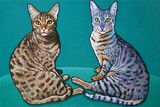by Marna Schindler