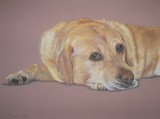 by Joanne Simpson-Connor