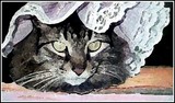 by Brenda Higgins