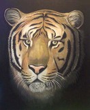 by Sarah Allen
