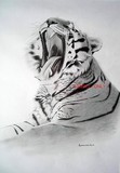 by Les Remmington-Allum