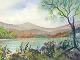 by Brenda Cumming
