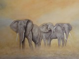 by Lori Azzolino