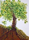 by Minerva Bloom